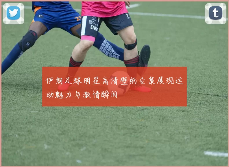 伊朗足球明星高清壁纸合集展现运动魅力与激情瞬间