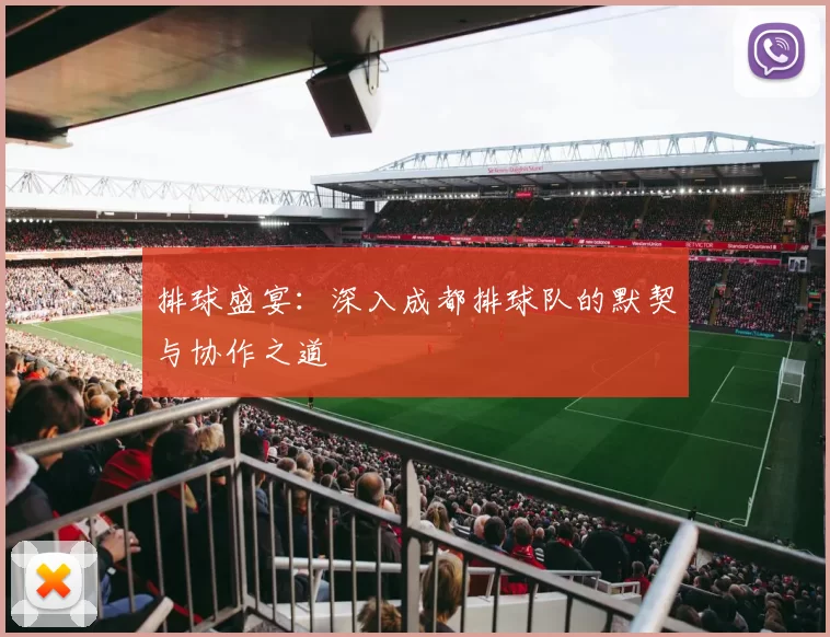 排球盛宴：深入成都排球队的默契与协作之道