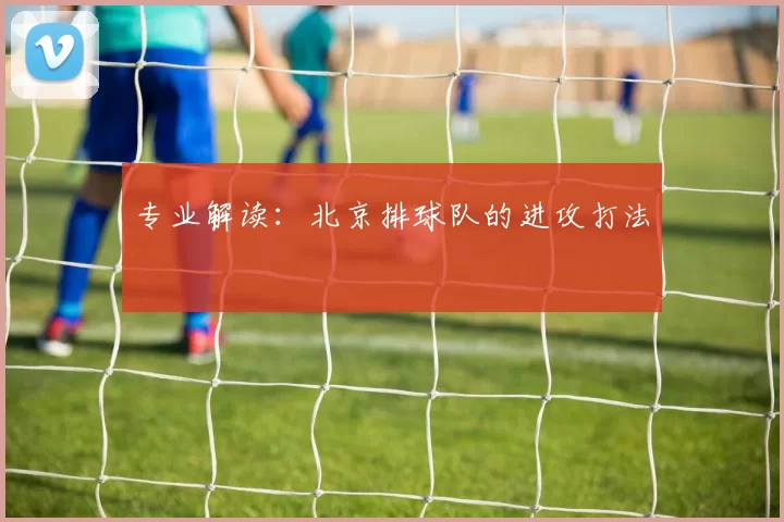 专业解读：北京排球队的进攻打法
