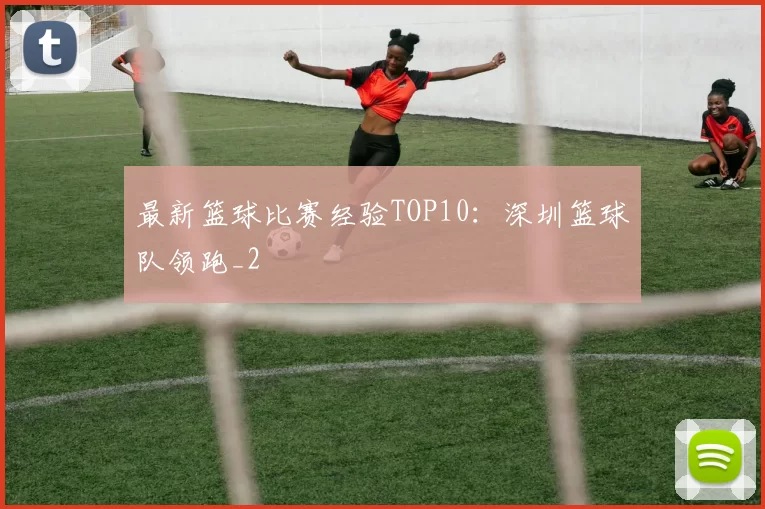 最新篮球比赛经验TOP10：深圳篮球队领跑_2