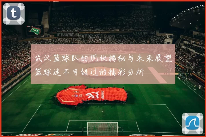 武汉篮球队的现状揭秘与未来展望篮球迷不可错过的精彩分析