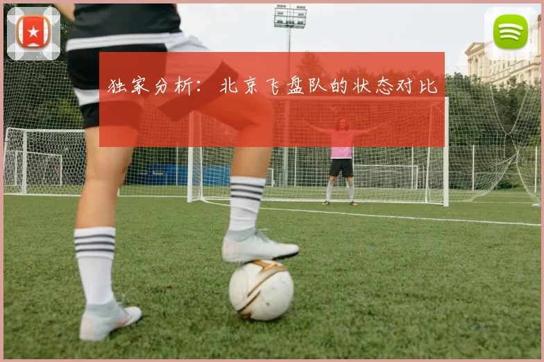 独家分析：北京飞盘队的状态对比