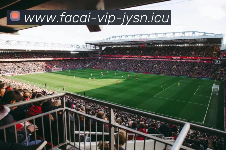 开云体育平台生态图