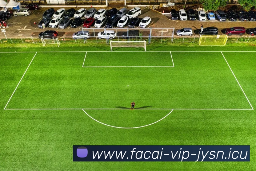 开云体育APP 封面图